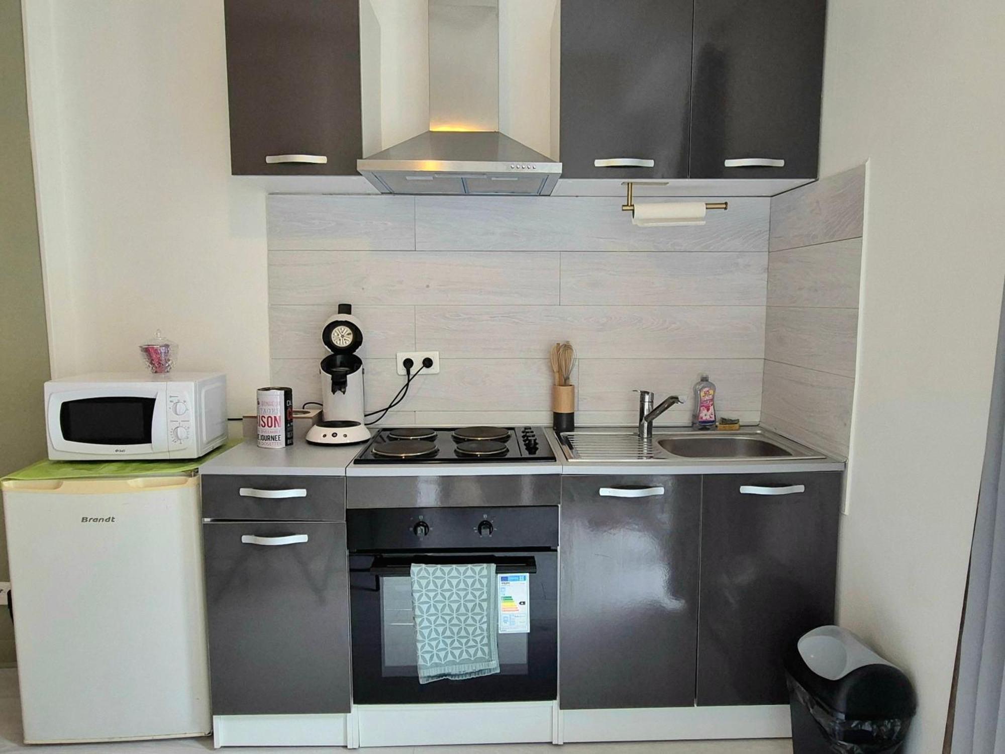 Verdant Oasis - Proche Du Centre - Wifi Gratuit - Parking A Proximite Lourdes Exterior photo